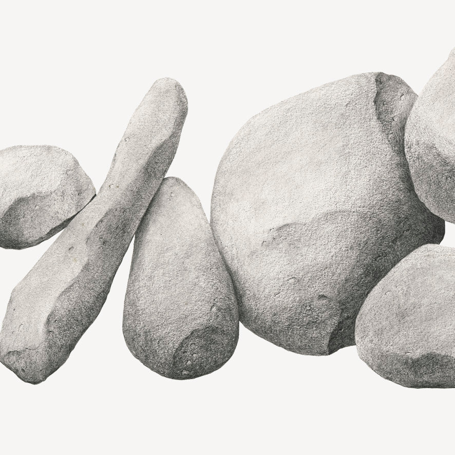 Cybelle - Limited Edition Prints